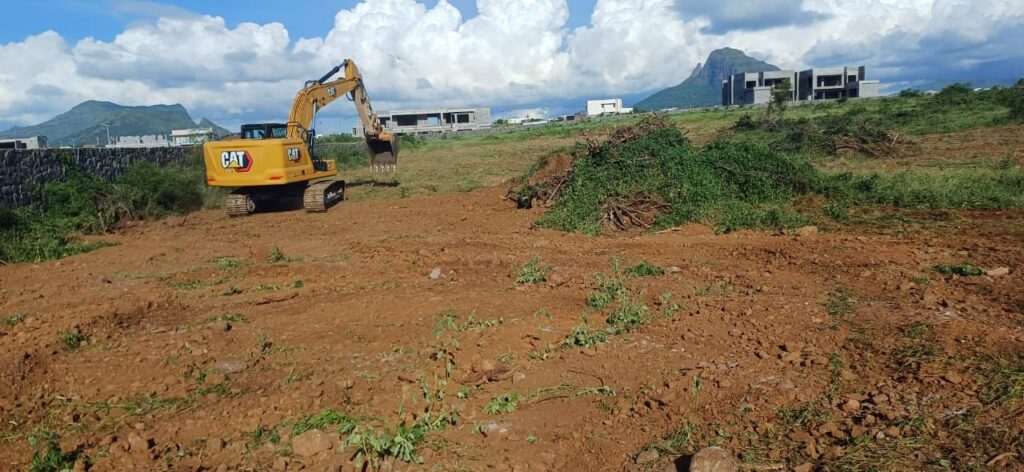 Work Progress - Site Clearing